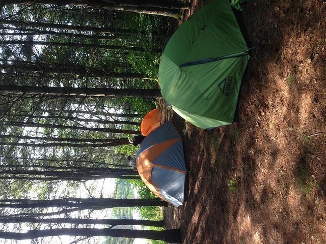 camp