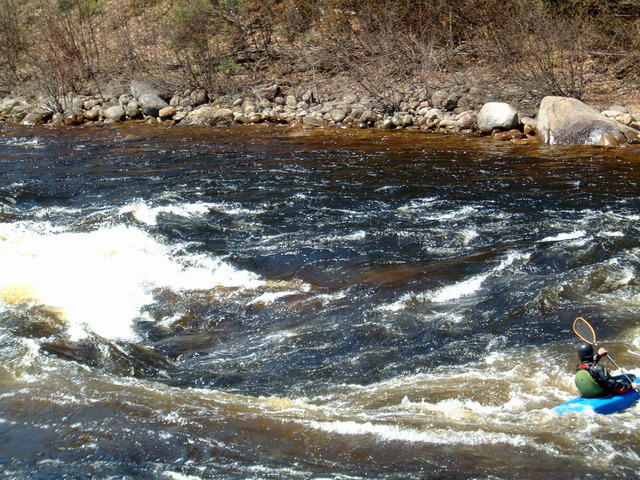 DSCF0618.jpg
