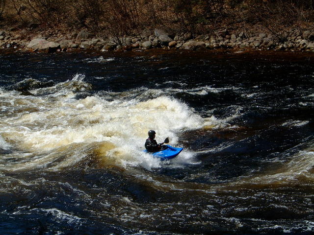 DSCF0619.jpg