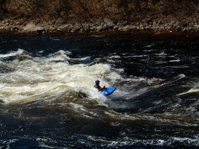 DSCF0620.jpg