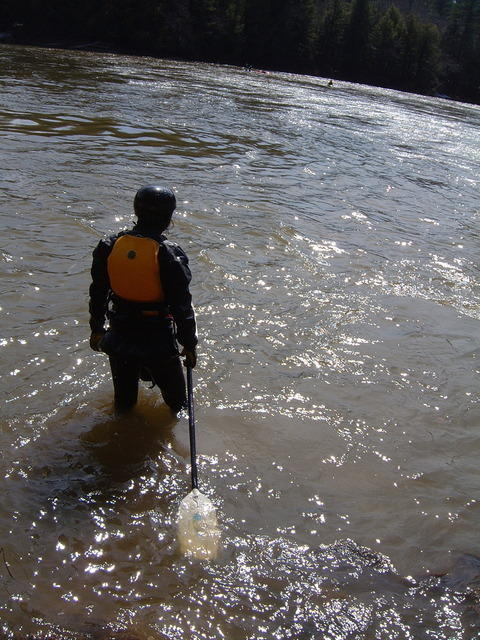 DSCF0529.jpg