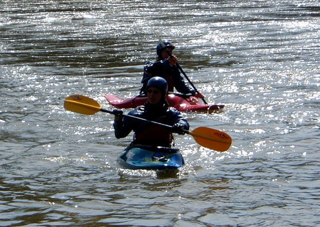 DSCF0530.jpg