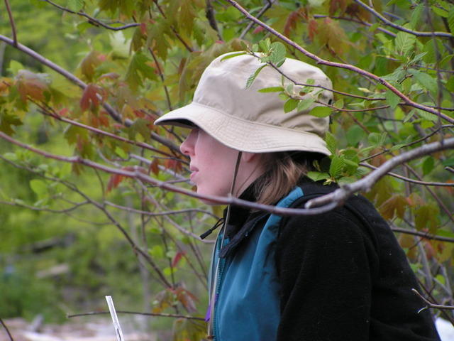 PICT0607.jpg