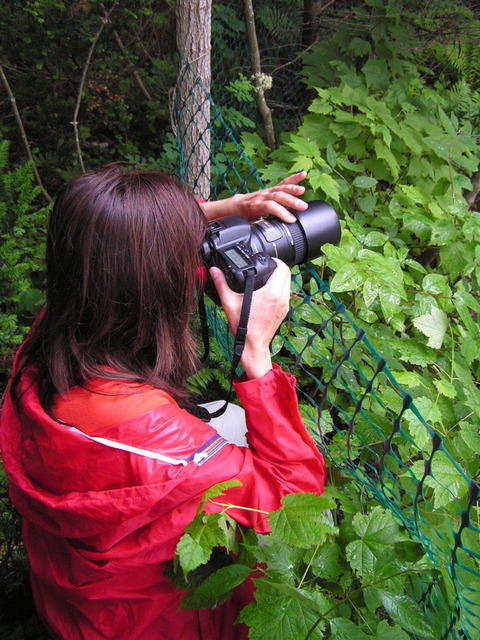 PICT1384.jpg