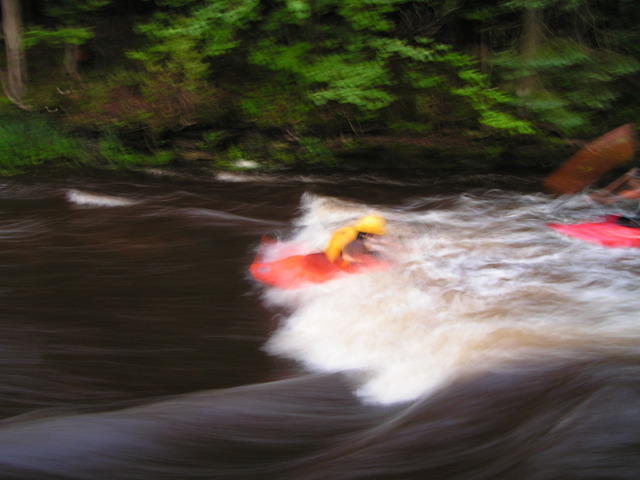 PICT1396.jpg