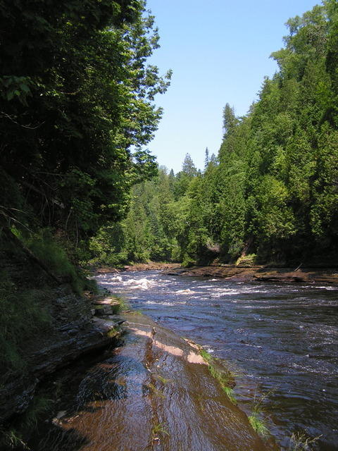PICT1433.jpg