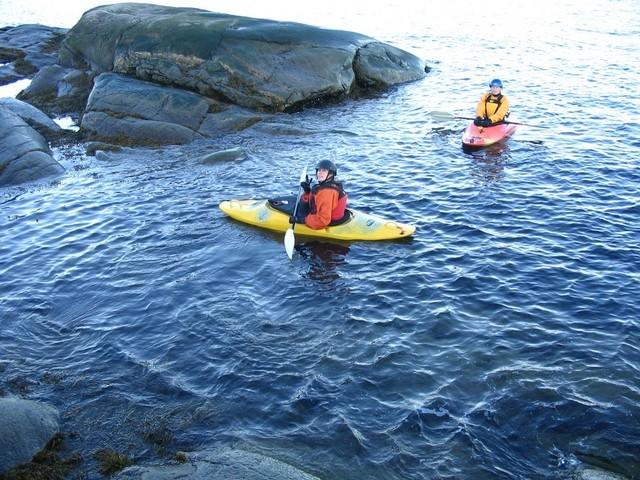 20050903-04-05 kayak avec baleines 050.jpg