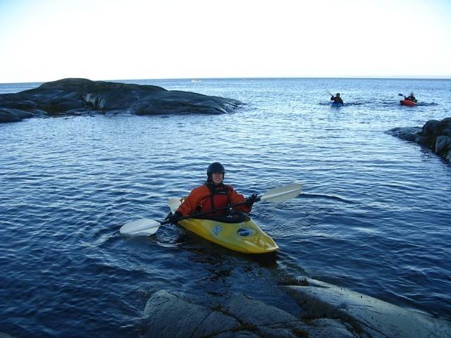 20050903-04-05 kayak avec baleines 052.jpg