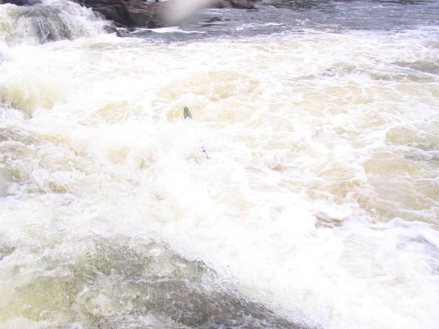 20050813_Gatineau-Sortie_0023.JPG