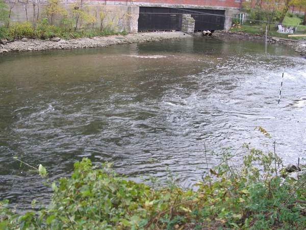 20051022_Valleyfield_0014.JPG