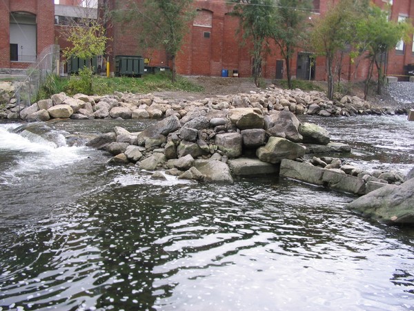 20051022_Valleyfield_0056.JPG