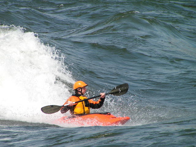 PICT2833.jpg