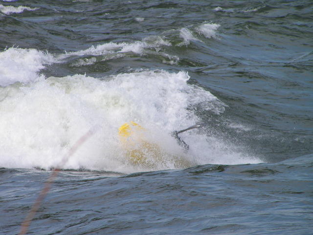 PICT2849.jpg