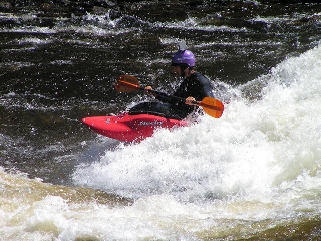 PICT3484.jpg