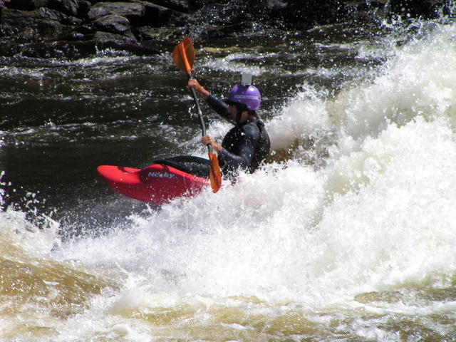 PICT3485.jpg