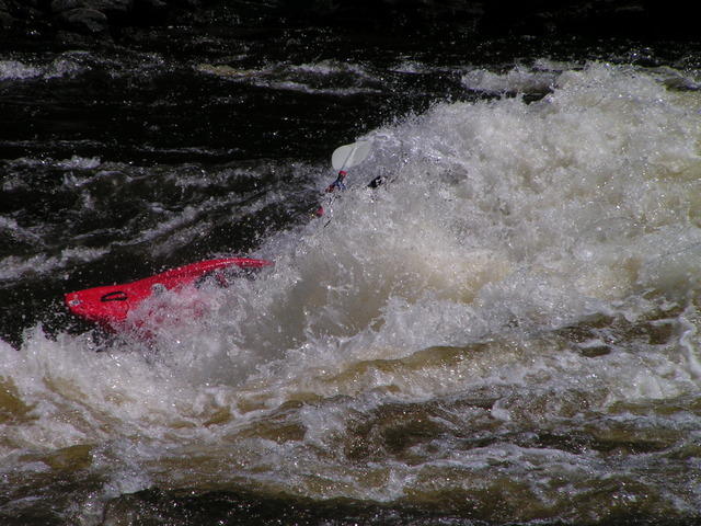 PICT3498.jpg