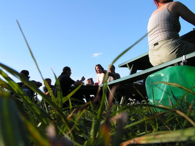 PICT3506.jpg