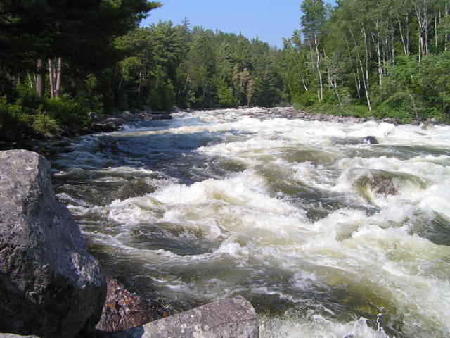 PICT3050.jpg