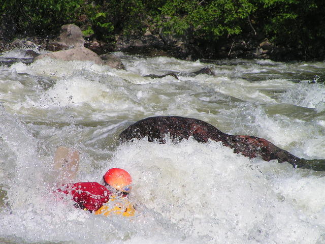 PICT3055.jpg