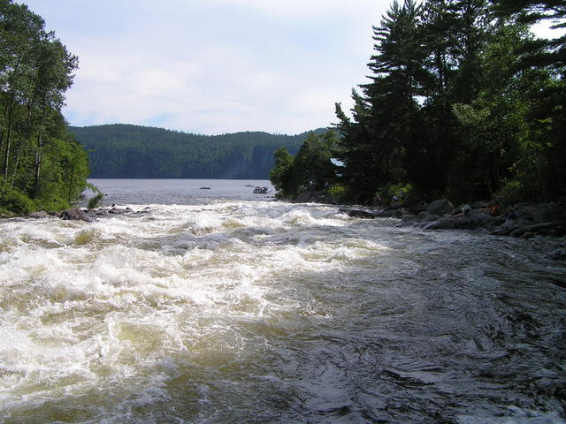 PICT3111.jpg