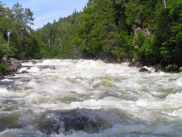 PICT3114.jpg