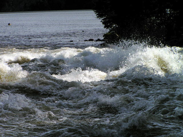 PICT3126.jpg