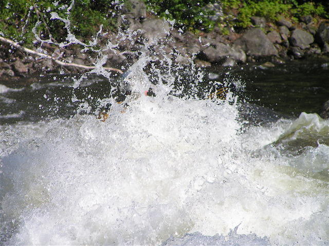 PICT3140.jpg