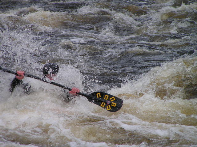 PICT2937.jpg