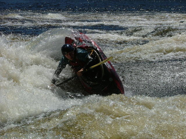 bf 2005 074.jpg