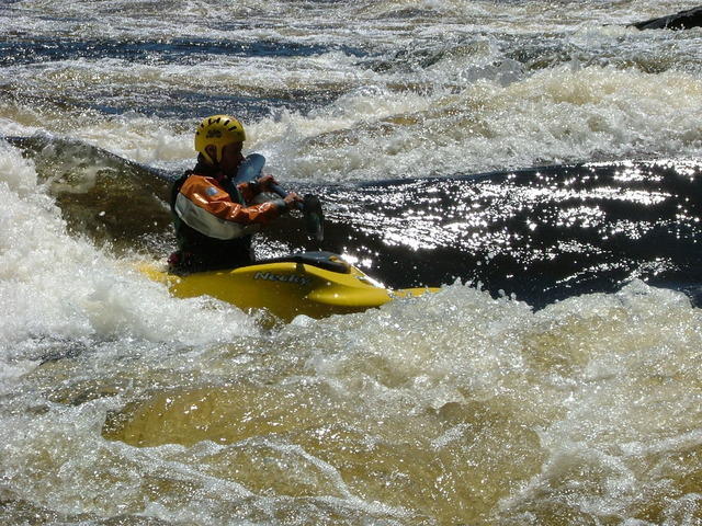 bf 2005 091.jpg