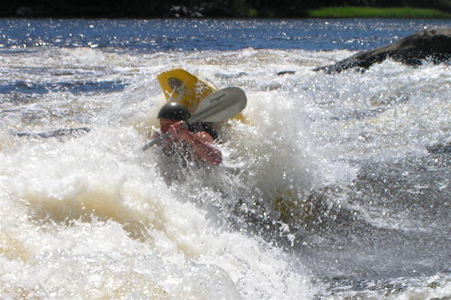 PICT3000.jpg