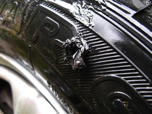 20060701_Rouge_21milles_136.JPG
