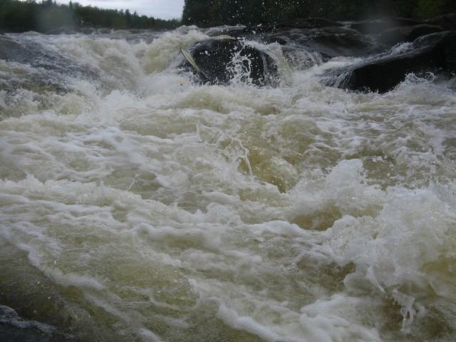 20060909_Bastiscan_086.JPG
