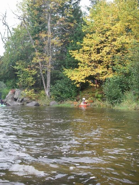 20060719_PetiteNation_004.JPG