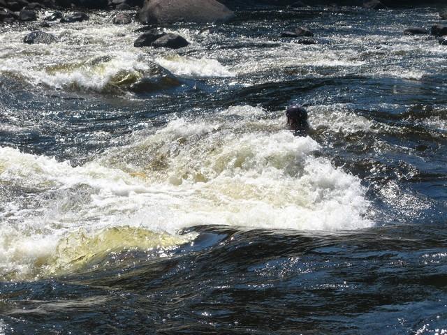 20060617_SauvetageRiviere_072.JPG
