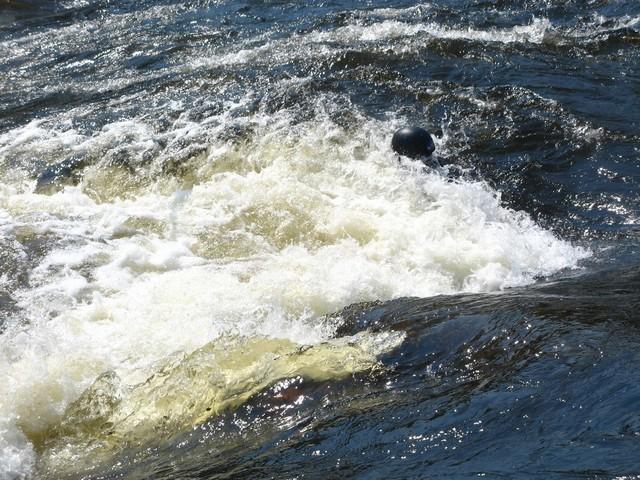 20060617_SauvetageRiviere_074.JPG