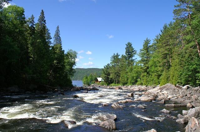 PICT4242.jpg