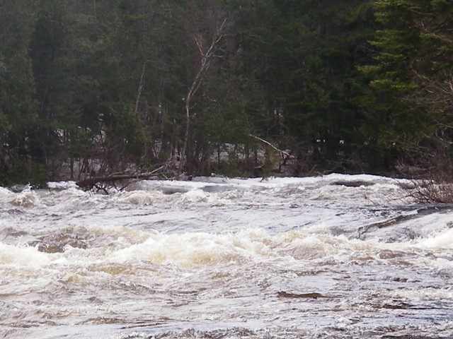 20070422_L'Assomption_029.JPG