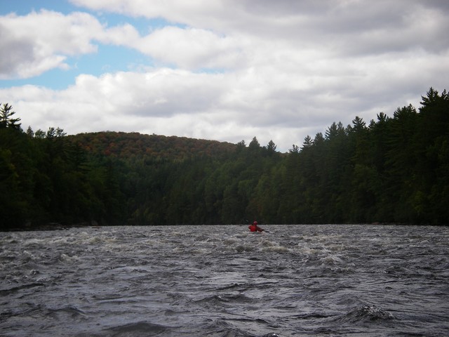 IMGP3667.JPG