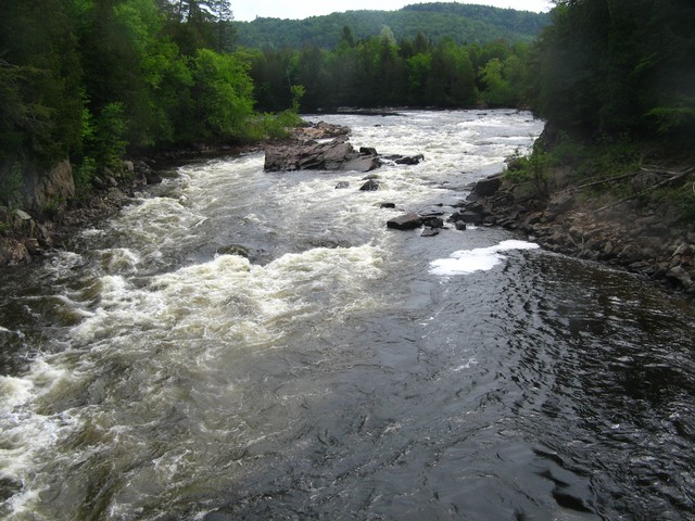 20070602_Canyon_010.JPG