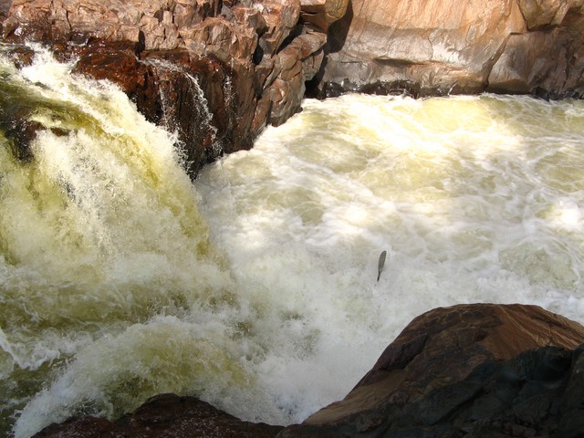 20070930_ChuteRougeSeptSoeur_055.JPG