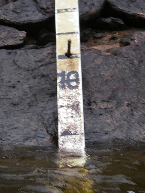 IMGP3320.JPG