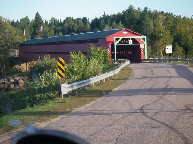 IMGP3376.JPG