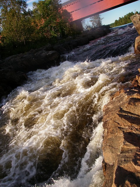 IMGP3378.JPG