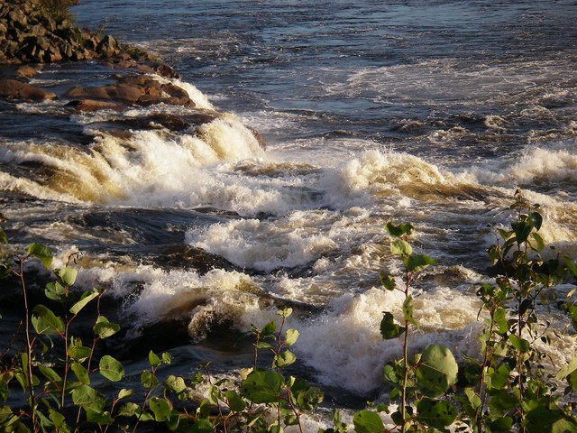 IMGP3382.JPG