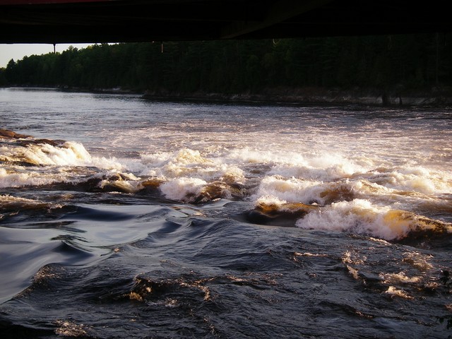 IMGP3386.JPG