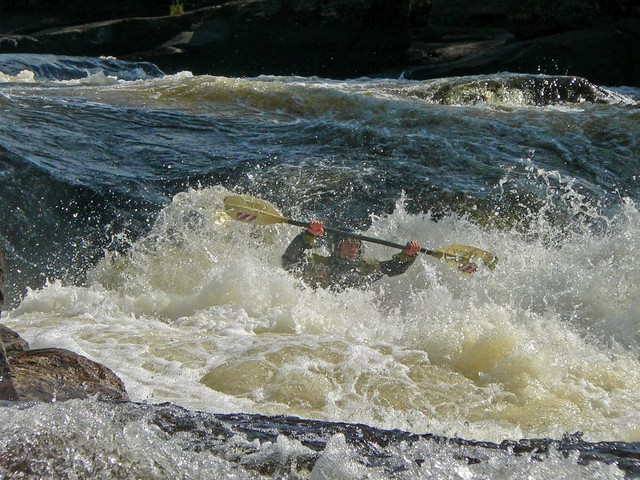 P1040101_edited.jpg