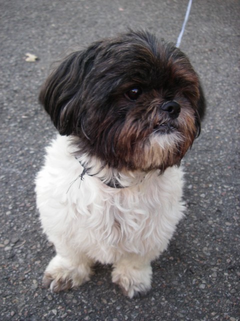 IMGP3560_Kiwi.JPG
