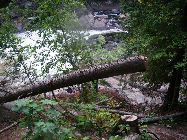 IMGP3565.JPG