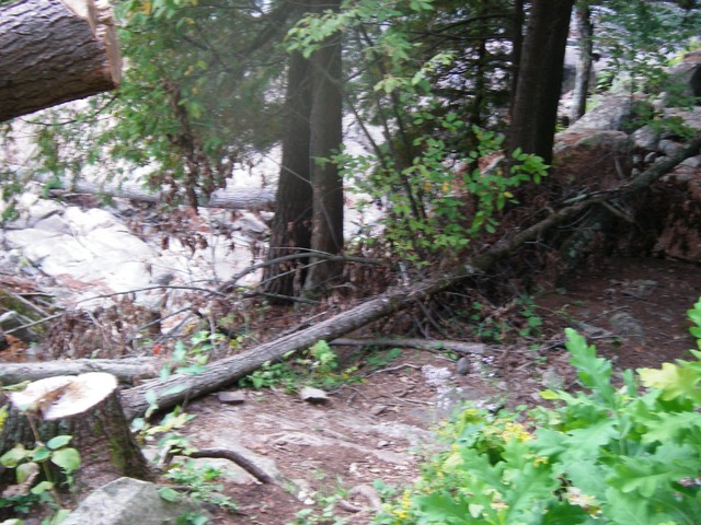 IMGP3567.JPG